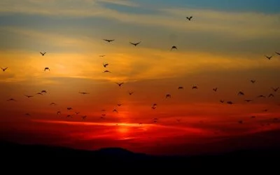 Transform Your Life: Embracing Glimmers to Overcome Triggers and Find Inner Peace